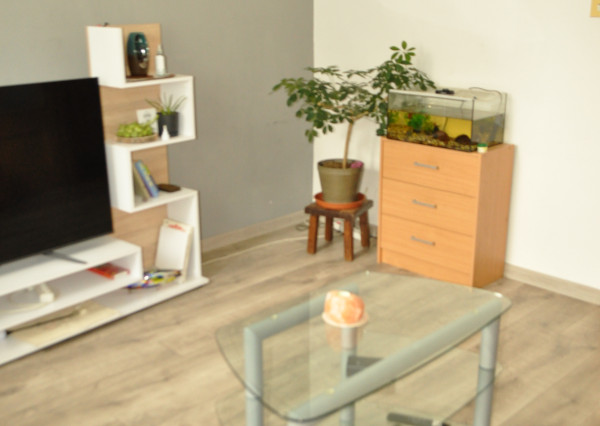 Byt 3+1 sídl. Mier, Sp. Nová Ves