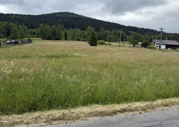 Pozemok na Zahájnici, Nálepkovo