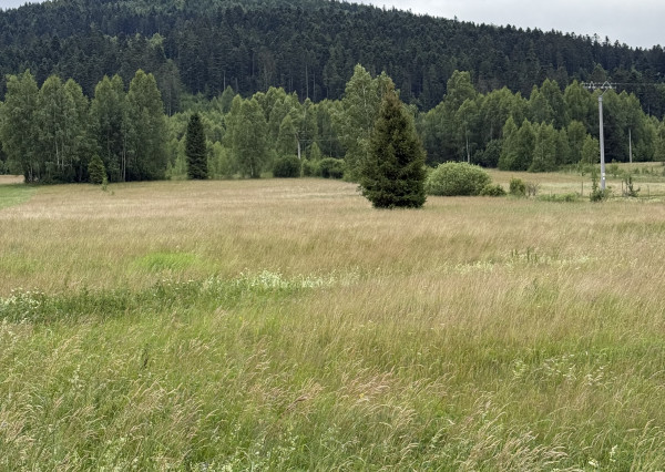 Pozemok na Zahájnici, Nálepkovo