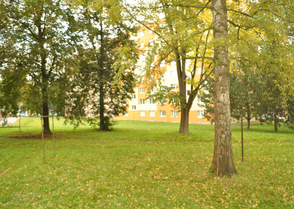 Byt 1+1 sídl. Tarča, Sp. Nová Ves