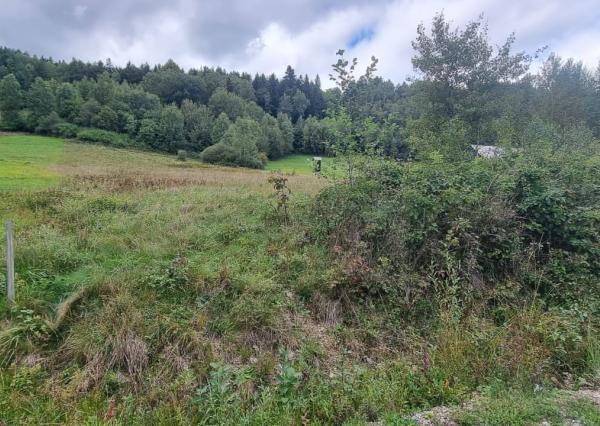 Pozemok časť Zahájnica, obec Nálepkovo