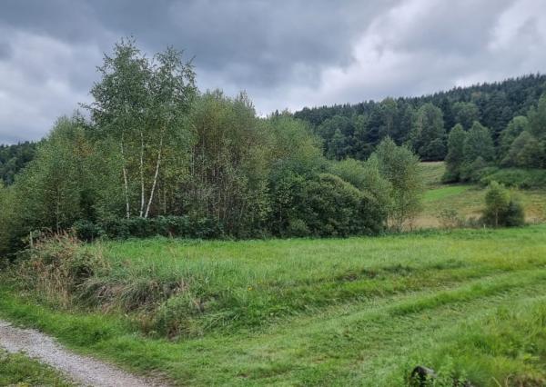 Pozemok časť Zahájnica, obec Nálepkovo