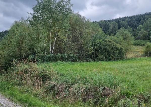 Pozemok časť Zahájnica, obec Nálepkovo