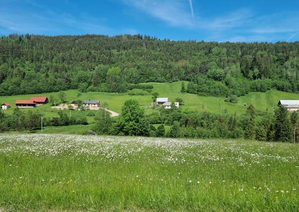 Pozemok časť Zahájnica, obec Nálepkovo