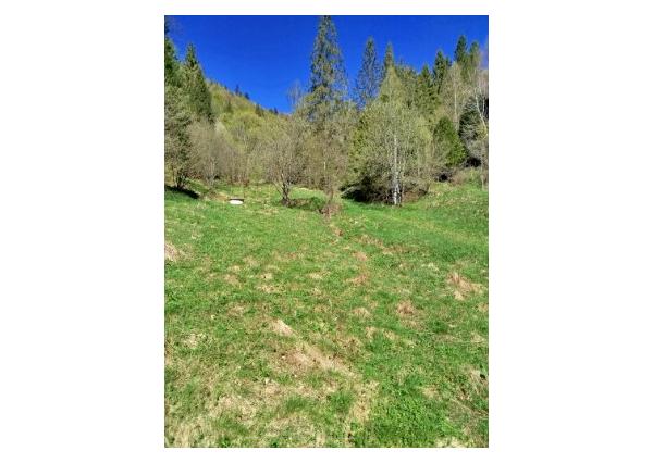 Pozemok Henclová, okr. Gelnica