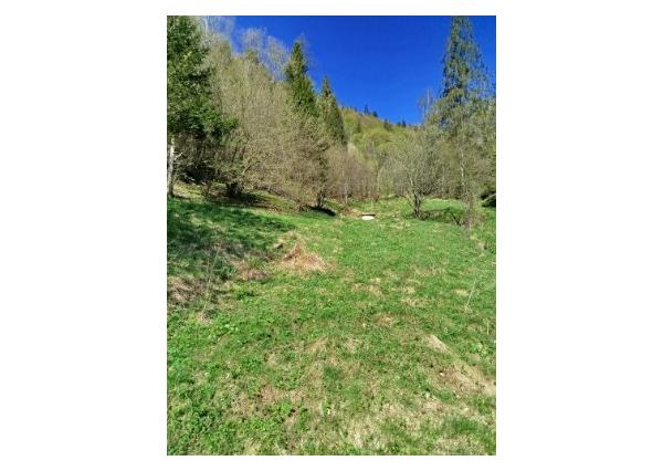 Pozemok Henclová, okr. Gelnica