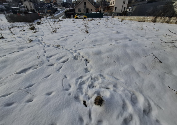 Pozemok pre rodinný dom na okraji Levoče
