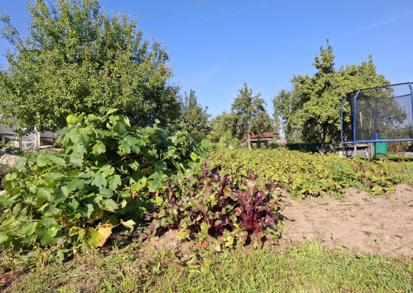 Záhrada na sídl. Mier, Sp. Nová Ves
