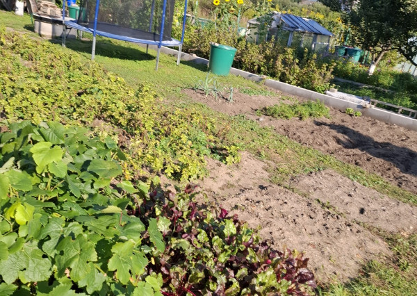 Záhrada na sídl. Mier, Sp. Nová Ves