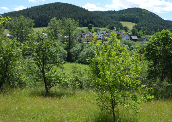 Pozemok s drevenicou v lokalite Jamnický Mlyn