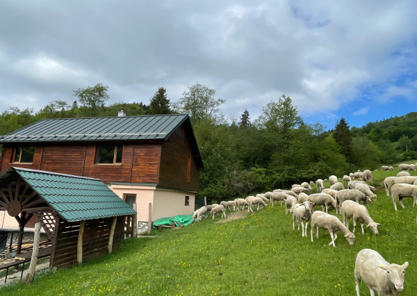 Veľkorysá chata s výnimočným súkromím v objatí prírody - fotografia 46