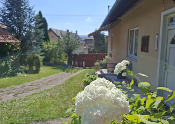 Rodinný dom s hospodárskym zázemím - Odorín