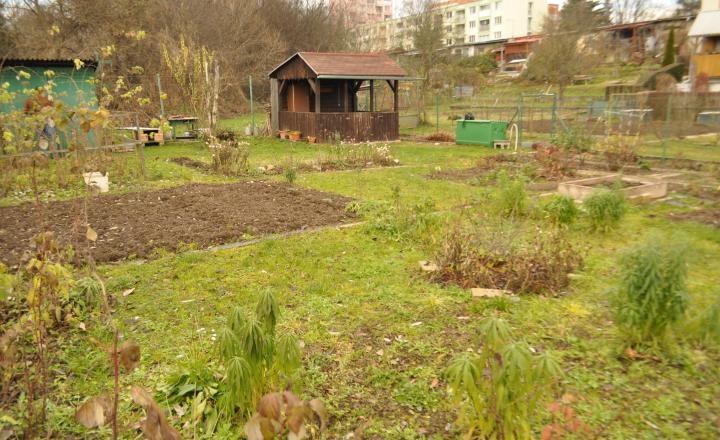 Záhradka, sídl. Tarča, Sp. Nová Ves - fotografia 8