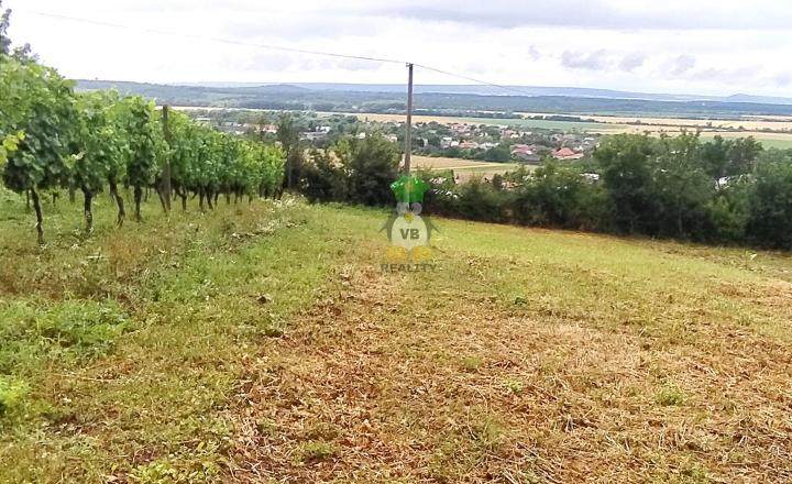 Slnečný rekreačný  pozemok , 650 m2, Vinné - fotografia 2