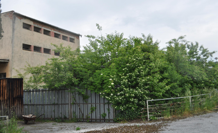 Podnikateľský objekt bitúnok,  Spišské Vlachy - fotografia 12