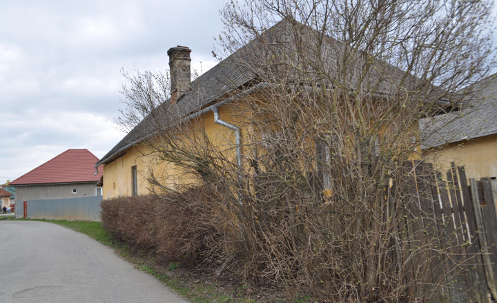 Pozemok so starším domom v obci Letanovce - fotografia 8