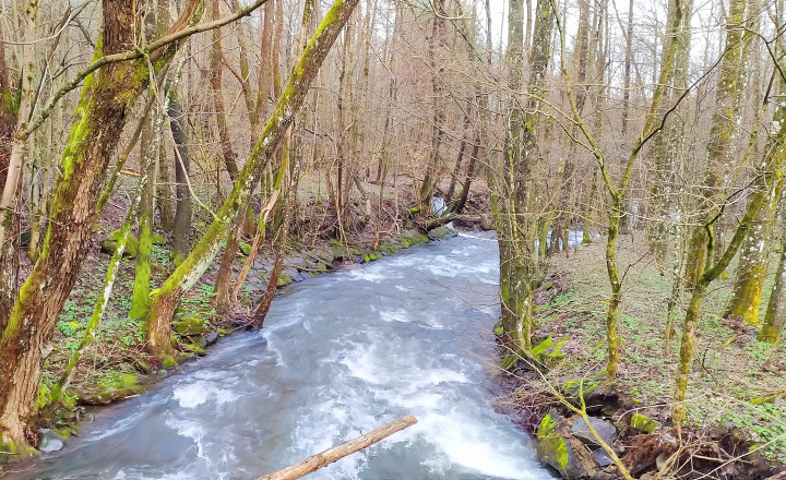PREDANÉ - Rodinný dom alebo chalúpka pod lesom, 892 m2, Remetské Hámre - fotografia 14
