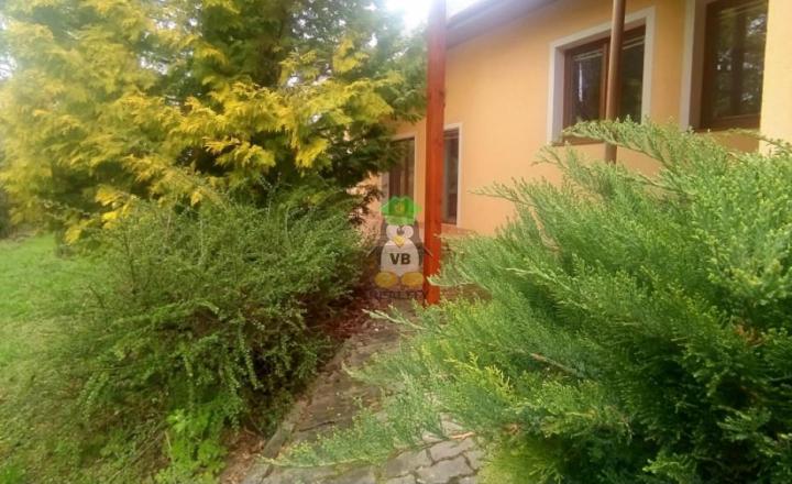 Jedinečný rodinný dom v obci Vinné s rozľahlým pozemkom - fotografia 18
