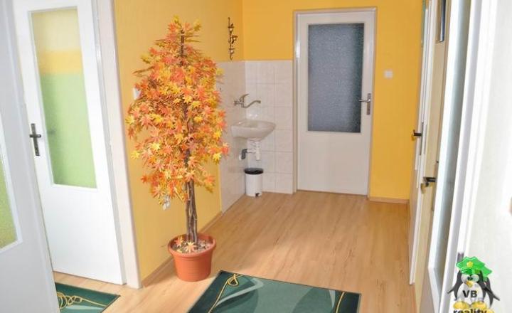 Rehabilitačno-relaxačné centrum na prenájom, SNV - fotografia 17