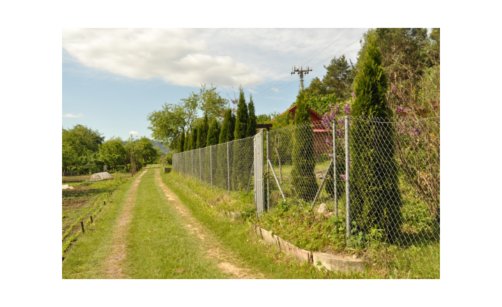 Záhradka s chatkou v záhradkarskej osade na líške, Sp. Nová Ves - fotografia 15