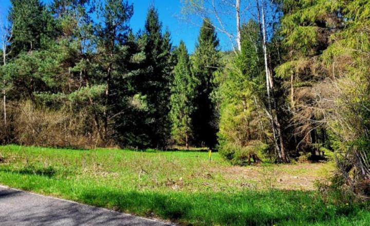 Pozemok pri potoku v časti Zahájnica, Nálepkovo - fotografia 2