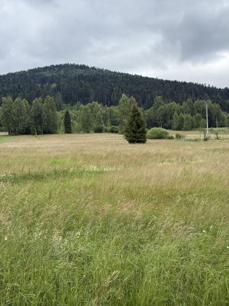 Pozemok na Zahájnici, Nálepkovo - fotografia 3