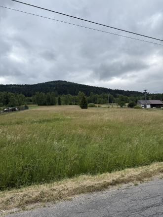 Pozemok na Zahájnici, Nálepkovo - fotografia 4