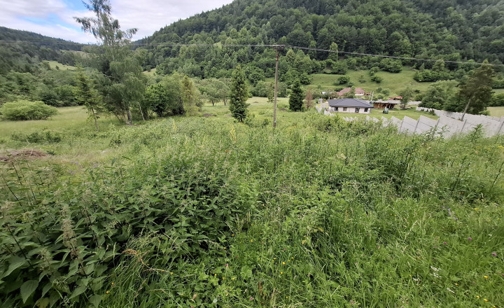 Zaujímavý pozemok medzi Hnilčíkom a Nálepkovom - fotografia 13