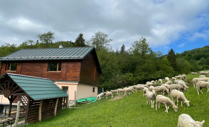 Veľkorysá chata s výnimočným súkromím v objatí prírody - fotografia 46