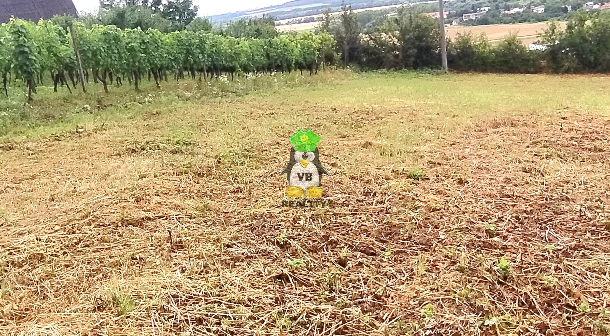 Slnečný rekreačný  pozemok , 650 m2, Vinné