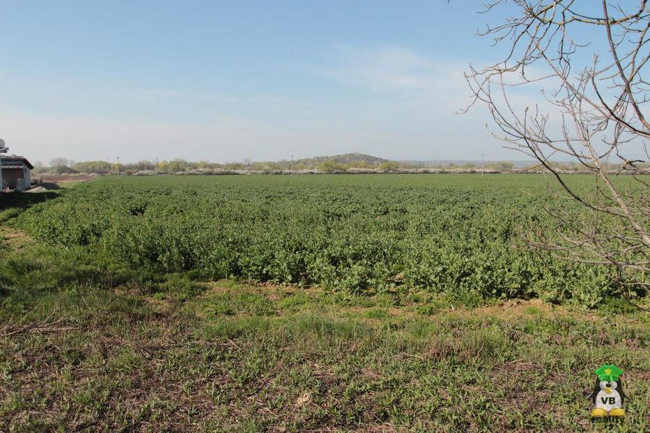 Na predaj pozemok v Michalovciach