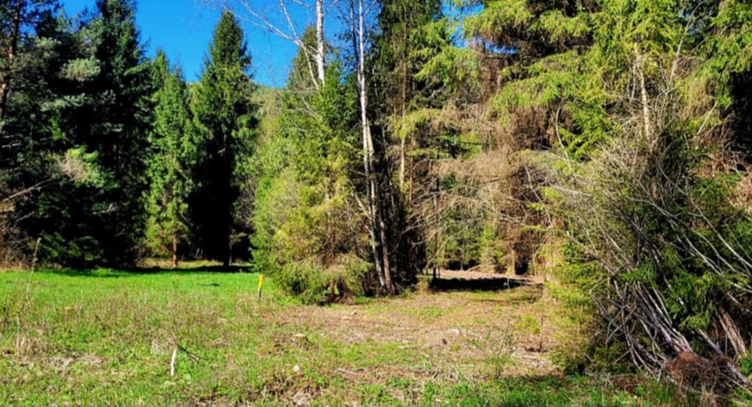 Pozemok pri potoku v časti Zahájnica, Nálepkovo